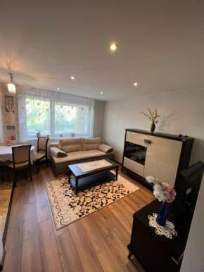 ELE Apartamentai, Palanga